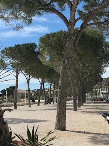 La Ciotat : Superbe Appartement Proche Du Port Exterior photo